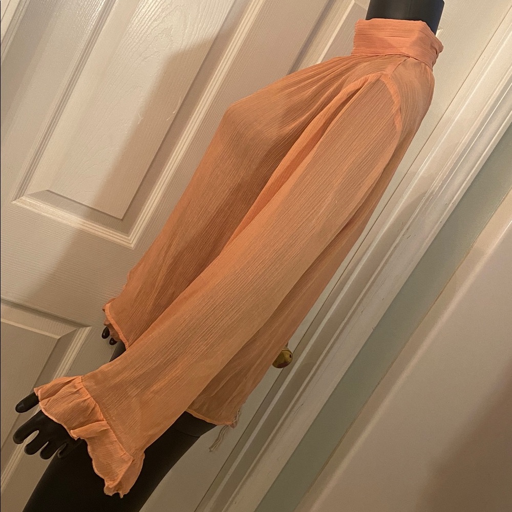 Anthropologie Sheer Terracotta Blouse Top NWTs - Picture 5 of 13